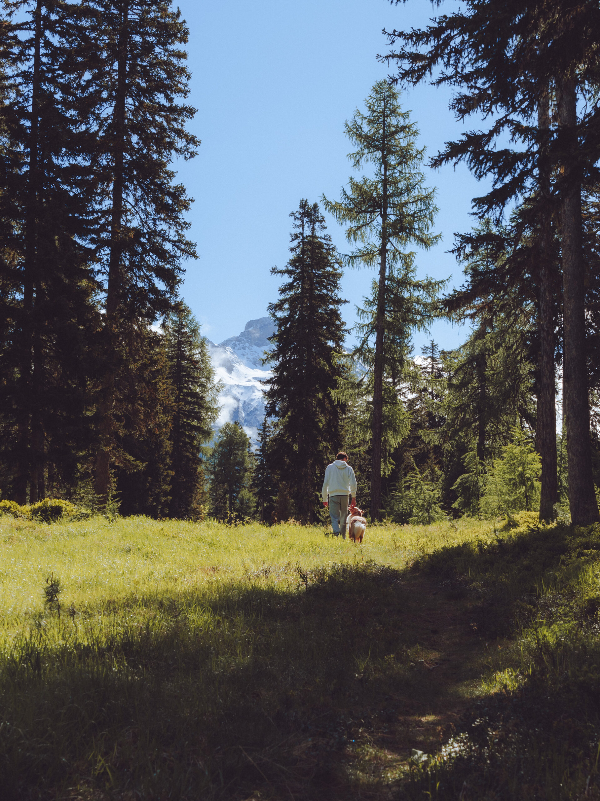 Wandelaar met hond in de bergen
